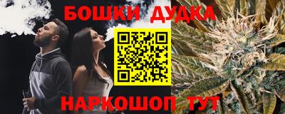 сатива Кингисепп