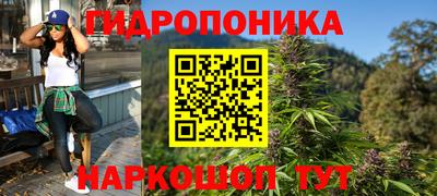 шишки Канаш