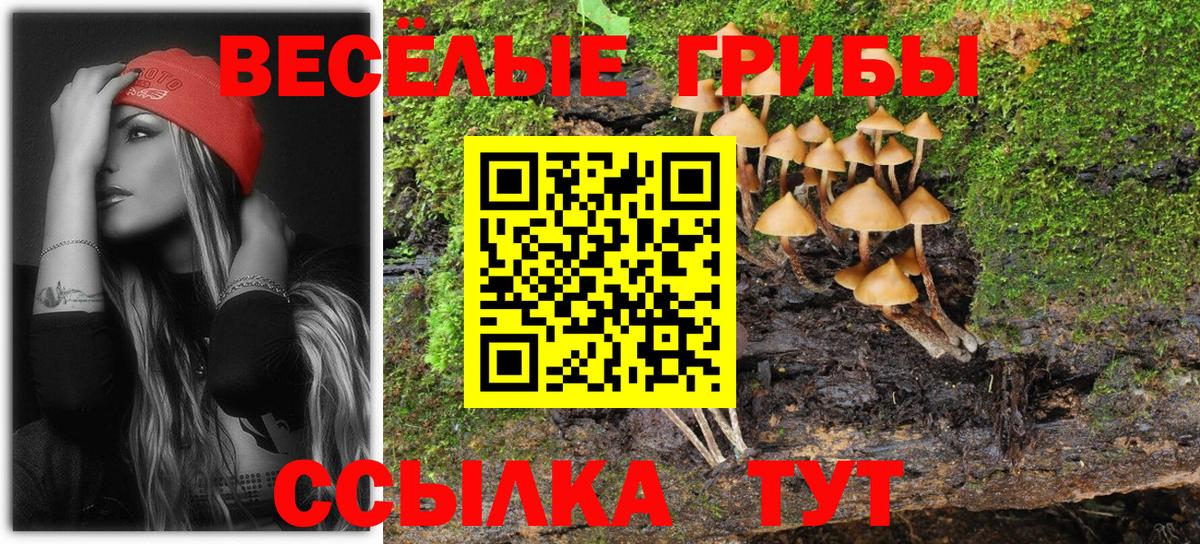 Псилоцибиновые грибы MAGIC MUSHROOMS Красноуфимск
